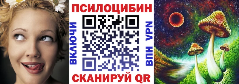 ОМГ ОМГ ТОР  Спас-Клепики  Псилоцибиновые грибы Magic Shrooms 