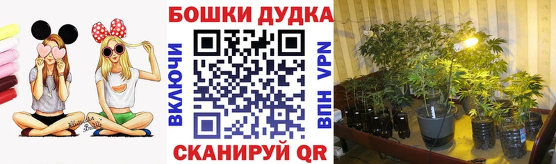 Шишки марихуана конопля  Спас-Клепики 